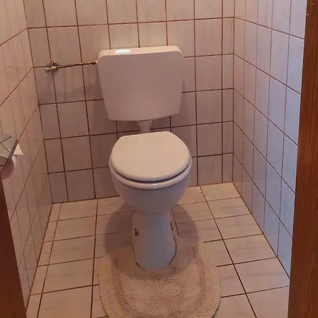 Apartment Ferienappartment Hoelzl *